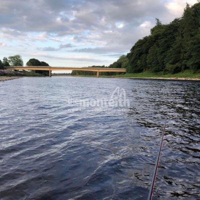 The Tail Of The Boat Pool is where the Glendelvine Bridge spans the River Tay. There used to be an old iron railway bridge slightly upstream of this new bridge. You can still see the old submerged railway stanchions on the river bed on the upstream side of the new bridge. The dark wooden side of the river you can see in this downstream photograph is one of my favourite River Tay salmon fishing areas.