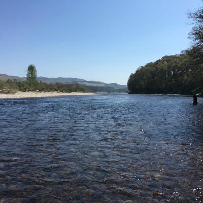 This fine Summer shot was taken at the March Pool on the Kinnaird salmon beat. Many of our salmon fishing trip guests are brought here to fish for salmon by our salmon guides as it always holds salmon and is easy to fish through. Look at all of the stones on the far riverbank which have been deposited there by the fast flowing River Tummel which joins the Tay just out of sight to the left hand side of this fine river shot.