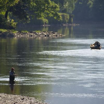 Here's 2 River Tay tactical salmon fishing approaches being deployed simultaneously. The traditional River Tay fishing boat is out covering the salmon lies as a riverbank salmon fisher is fishing down behind the boat with a spinning rod.