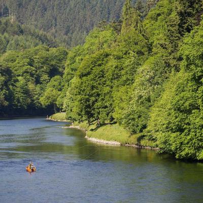 The River Tay