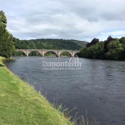 I took this downstream shot of the famous Telford Bridge in Dunkeld from the grounds of the Dunkeld Cathedral. There's a stone wall at the edge of the grass that's not visible in this shot to protect the grounds from high water flood damage. This is called the Cathedral Stream Pool which is very productive  salmon fishing pool.