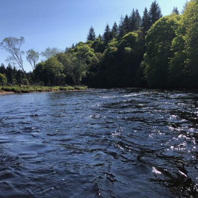 Here's a perfect fast water deep glide salmon pool on the River Tay near Dunkeld. This is typical of where salmon like to hang out during low warm water conditions. This low water Summer shot was taken by myself while working as a professional Tay salmon fishing guide.