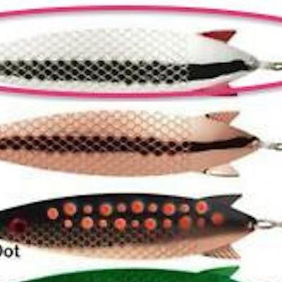 The ABU Toby 'Salmo' lure is a great spin fishing lure on the River Tay and especially in the circled colour above. Silver & Copper have always been great salmon attractors and this wider bodied 30g Toby 'Salmo' has an excellent flutter action in the stream.
