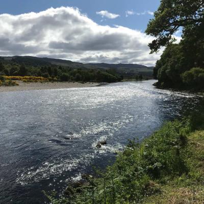 This is the lovely right hand bank of the March Pool of the River Tay near Dunkeld which is a popular salmon fishing pool for anglers. This glorious shot was taken during June hence the perfect riverbank beauty. The Tay is Scotland's largest salmon river and is located in Central Scotland for easy commuting. Look at the perfect shimmering river water in this photograph which I took during June.