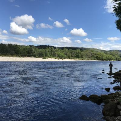 Here's a lovely scene of the right hand bank of the Meetings Pool on the River Tay near Pitlochry. This is a good area of the Tay to catch salmon and many fishers come here each year in pursuit of them with their own salmon fishing guide to make sure they are fishing the pools optimally.