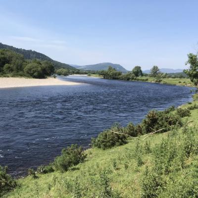 This is the neck of the Kinnaird Beat's Guay Pool which is a very productive River Tay salmon fishing pool. Salmon hold high up in this stream during low water conditions and down in the tail of this pool in higher water levels. This is a great pool for catching salmon and especially when accompanied by a salmon fishing guide who knows the water.