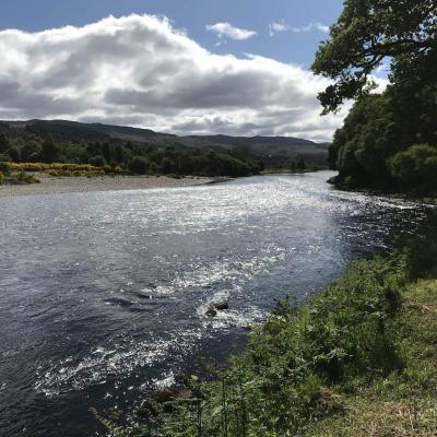 Here's the most perfect classroom of all for learning how to fish for salmon with a double handed fly rod. Many salmon are caught on this perfect area of the River Tay which is located just over an hour north of Glasgow & Edinburgh. 