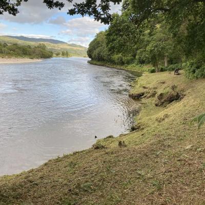 If you're in charge of a Scottish salmon beat then you should have a natural desire to maintain your riverbanks in top condition for your visiting salmon fishing guests. This pool is The March Pool on the River Tay near Pitlochry which I had just strimmed when I took this photograph. The tree on the left hand side of frame is a beautiful oak tree and you can just about see the dark coloured fisherman's bench 50 yards down the riverbank.
