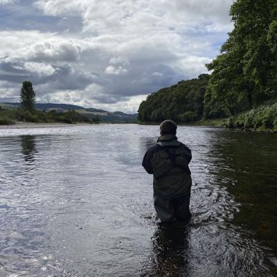 Here's a guided salmon fishing guest fishing down through the right hand bank of the River Tay near Dunkeld. This area of the river is close to the towns of Pitlochry & Dunkeld. The dark shadowy water where you see the reflection of the tree is an exceptionally good salmon lie. The shadow being cast by the tree on the opposite riverbank is a great salmon lie that produces many salmon for our guided fishing guests each year.