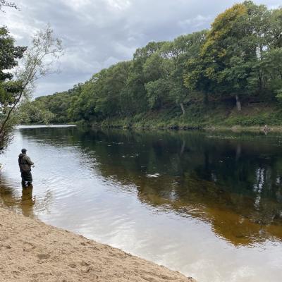 It's important to know good spin fishing tactics to stand the best chances of success when spin fishing on the River Tay. This shot was taken on the Rock Pool near Logierait which is a very productive spin fishing area of the Tay. This fisher was on a guided River Tay salmon fishing day with me as his personal ghillie. You can see I've kitted him out in chest waders, a waterproof jacket, life jacket and fishing equipment.