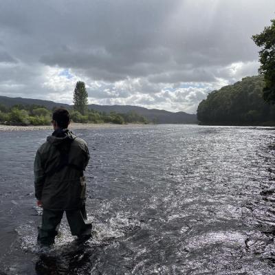 Here's a guided River Tay salmon fishing guest out learning the basics of how to fish for salmon. You can see the beautiful oak tree to the right of frame which are numerous on the riverbanks of the Tay Valley. This fast flowing water is opposite the mouth of the River Tummel on Kinnaird.