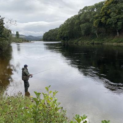 Here's a River Tay guided salmon fishing guest fishing from the sand bank at the Rock Pool on the Kinnaird Beat near Pitlochry. I've guided guests to many salmon in here and from both banks too but this side is easy to fish from and especially with a spinner. The Rock Pool in front of this salmon fisher has depth of 20ft and a 'counted down' spinner can be deadly in here during low water conditions when salmon are lying deep.