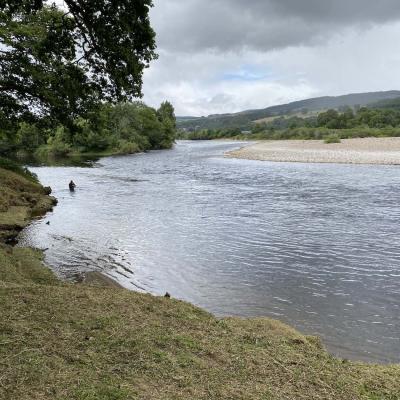 Look at this perfectly cut riverbank which not only looks great but make it safe for visiting salmon fishers to walk over. Safety is important on an uneven riverbank so anglers can always see where they are stepping to avoid tripping. A well groomed salmon beat is also a direct reflection of the passion levels of ghillie in charge of the beat. This lovely shot was taken on the River Tay between Pitlochry & Dunkeld.