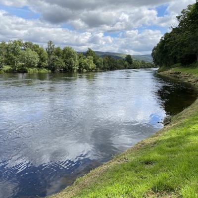 Look at these salmon beat operational standards. You can see the cut the riverbank grass and strimmed riverbanks that keep the salmon beat looking immaculate. These are tell tale signs that a top professional guide is running the salmon beat. This is the Daffodil LIe Pool on the Kinnaird Beat on the River Tay.