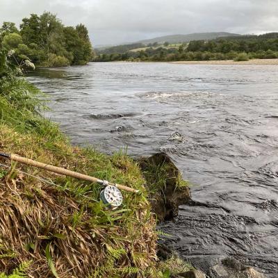 During periods of high water like this on the River Tay you need to be searching for salmon close to the edge of the riverbank as fish will lie in close during these conditions. It's also safer for a salmon fisher not to wade into the river during such conditions. Learn how to catch salmon and approach the salmon river correctly with a professional Scottish salmon guide. This is my salmon fly rod and reel lying at the side of the river in this high water photograph.