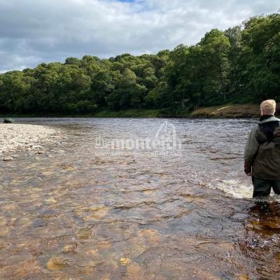 This River Tay gravel tapered riverbank is a very popular venue for teaching salmon fishing guided guests how to fish from. Look at the perfect line of oak tress on the opposite side of the river. The Tay is located in Perthshire which is in central Scotland and not too far from Edinburgh & Glasgow.