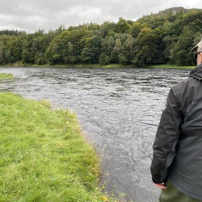 During higher water levels like this you don't have to wade into the river as the river can be fished from the numerous and safer grassy riverbanks liuke this salmon angler is doing. Salmon are located close to the river edge in high water so your fly should be fished right into the edge before recasting. This green grassy bank is on the tail of the Cottar Pool on the Newtyle Beat looking down to the Boil Pool in the distance.