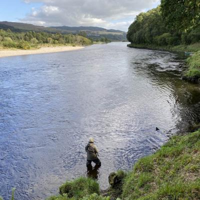 This is a great salmon pool on the middle River Tay at Kinnaird and is exactly positioned across from the confluence of the river Tay & Tummel. This Upper Kinnaird salmon beat is one of my most favourite beats on the River Tay I recall many special fishing memories here. This is the March Pool the salmon fishing angler is fly fishing and in the distance the Junction Pool and Ferry Stream Pool can also be seen.