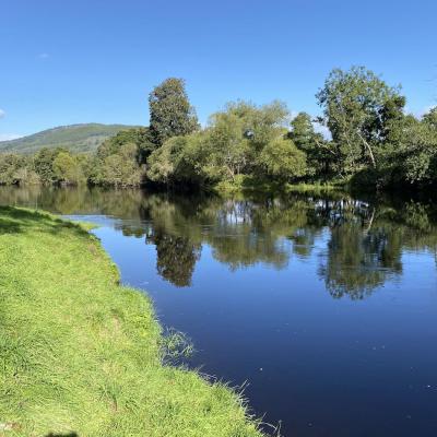This tranquil riverbank shot was captured during late June at the Green Bank Pool of the Upper Kinnaird salmon beat on the River Tay which is one of the most beautifully scenic salmon beats on this famous Scottish salmon river. Look at the lovely alder trees on the far riverbank 