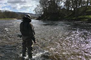 Fishing A River Tay Salmon Pool With Stealth