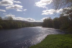 Salmon Fishing Dreaming On The River Tay In Perthshire