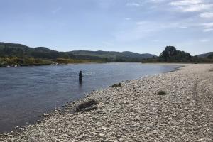 Salmon Fishing On the River Tay Salmon Beats