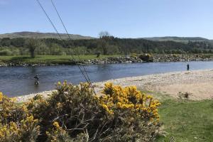 River Tay Salmon Fishing Guides