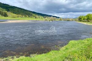 Dalmarnock