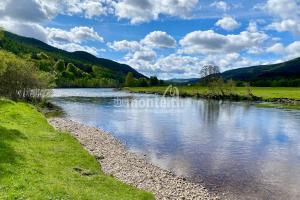 Dalmarnock