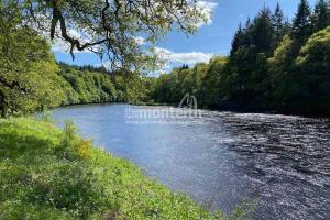 Dalmarnock Beat