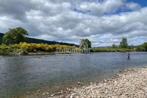Dalmarnock