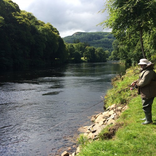 There's much skill and understanding involved in catching a Scottish salmon on a spinning rod and make no mistake about that fact. This visiting American salmon fisher was learning these spin fishing skills near Dunkeld on the River Tay during the low water of Summertime while under my supervision as his salmon guide.