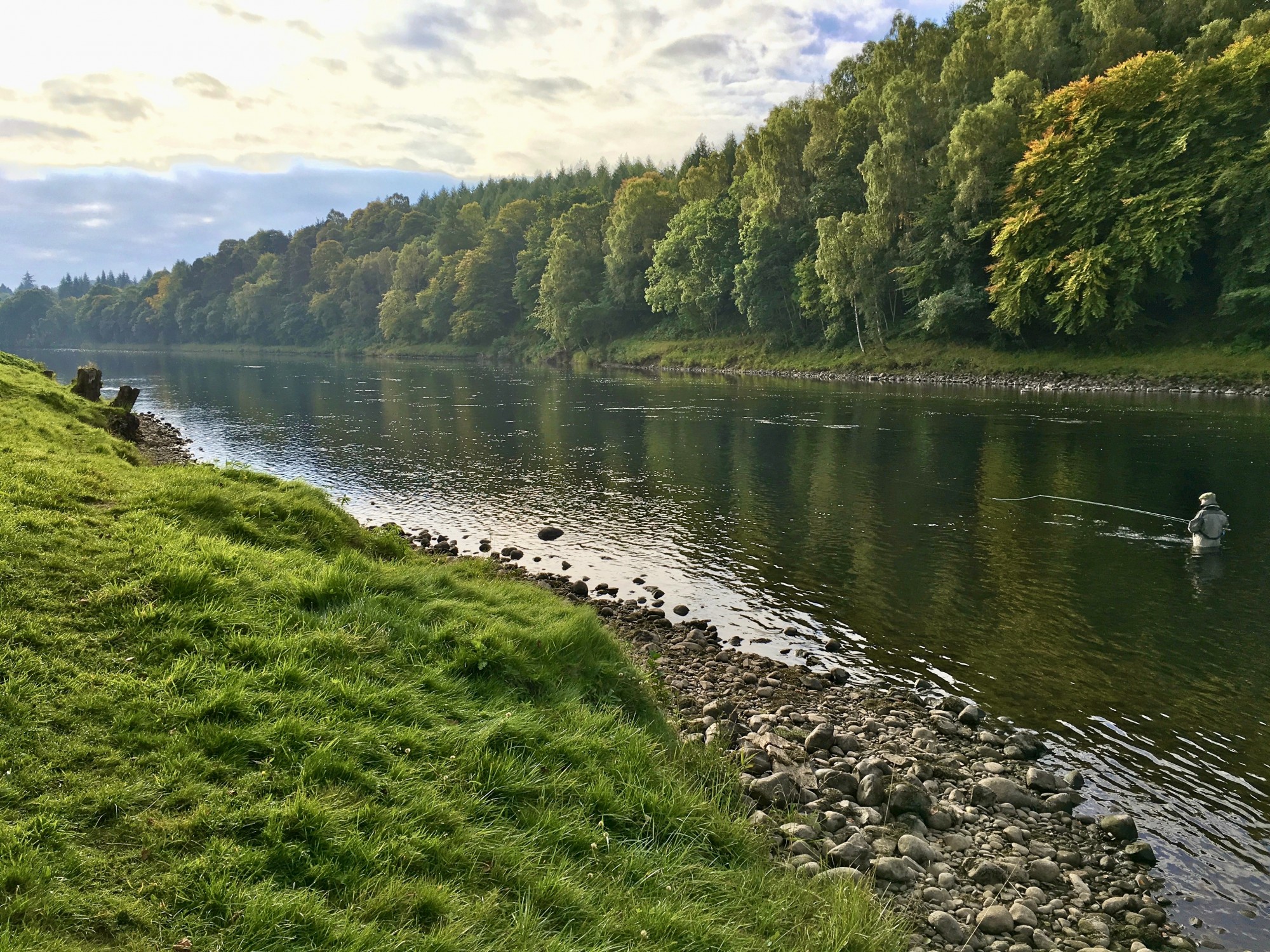This Steps Pool on the Newtyle Beat is a productive salmon holding pool on the River Tay many salmon hold up here due to the series of giant riverbed stones that span right across the Tay in this pool hence the pool's name. The salmon fisher you see is fishing this easy side of the pool where the riverbed is gently tapered and therefore easy to wade through.