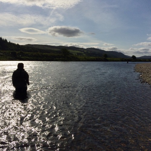 I took this photograph of this salmon fisher on the River Tay while serving as his salmon fishing guide. The former legendary Kinnaird Beat ghillie Bob Grant always described the Guay Pool as his favourite and most productive salmon pool. Having personally steered many fishing guests to salmon in this lovely pool I can only agree with Bob's evaluation. Nothing has changed in recent years as the Guay Pool is still the most productive Lower Kinnaird Beat salmon pool.