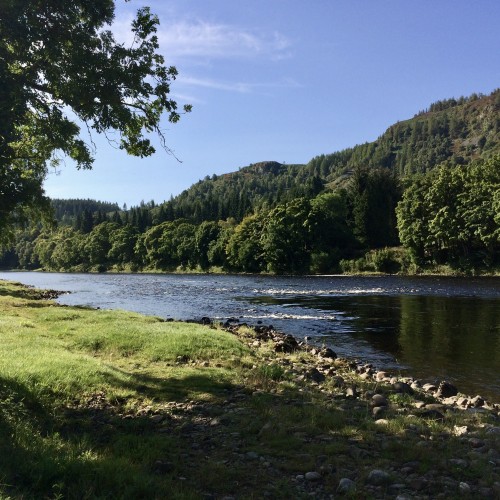 The dark glassy water shown here at the tail of the Trap Pool on the Tay's Newtyle Beat is one of those hot spots where salmon love to stop after powering up through the faster water below. This pool and the downstream Cottar Pool are a delight to fly fish through with always a real chance of some salmon action. I took this shot while working as a salmon fishing guide on this lovely River Tay salmon beat.