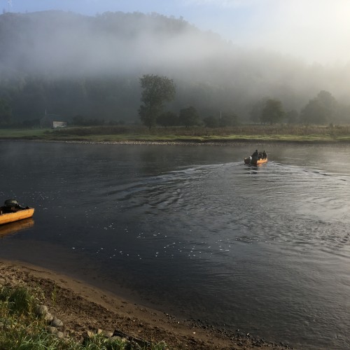 Here's the Newtyle salmon fishing ghillie ferrying anglers across to the popular left hand bank of the Cottar Pool which is a very productive pool on this lovely middle Tay salmon beat. This early morning photo captured the mist rising off the Tay Valley.