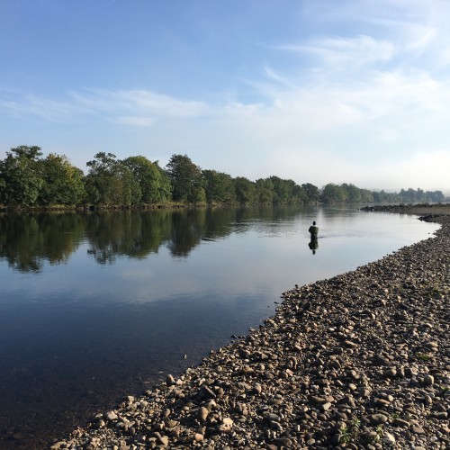 I took this shot of a salmon fly fishing angler at the Croys Pool of the Kercock salmon beat which is one of many middle River Tay hot spots. This middle area of the Tay is good for salmon fishing from March through to October and the Tay can be fished with the fly or with a spinning lure. This lovely gravel riverbank is easy to fish from unlike the far tree clad riverbank.