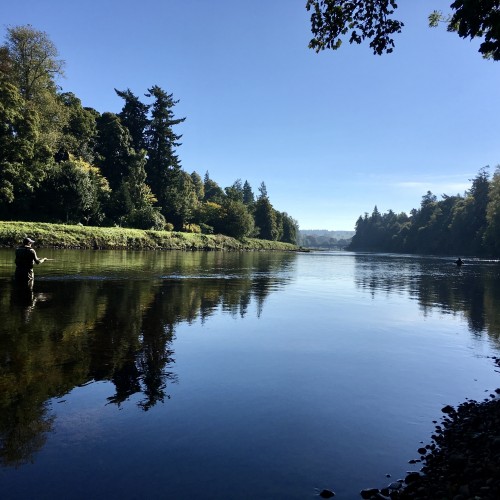 Here's a downstream shot of 2 salmon fishers at the House Pool of the River Tay's Meikleour salmon beat near Stanley which is a great salmon holding pool on this famous Scottish river. I took this shot during July and you can see the lovely wooded riverbanks and perfect blue Summer sky.
