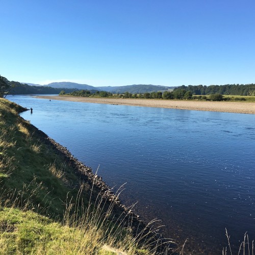 Here's an upstream shot of the neck of the Boatlands salmon pool with the Dunkeld Hills visible in the background which is typical of the perfect scenery on the middle area of the River Tay. This salmon fisher shot was taken by myself as I was this angler's salmon fishing guide for the day. 