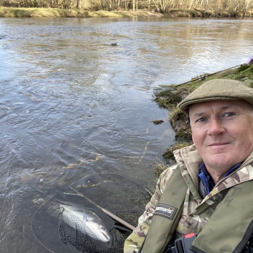 While it's great to return salmon quickly after capture sometimes a salmon will fight so hard it takes it several minutes for it to recover. If you're correctly carrying a landing net like I always do then the recovery task becomes easy as you can just leave the fish in the river margin where there's a steady flow until the fish perks up and is ready for release. This fine February River Tay Spring salmon that I caught on a ABU Toby lure swum off strongly after giving it a few minutes of quality 'hands free' recovery time in the landing net as you can see in my selfie.