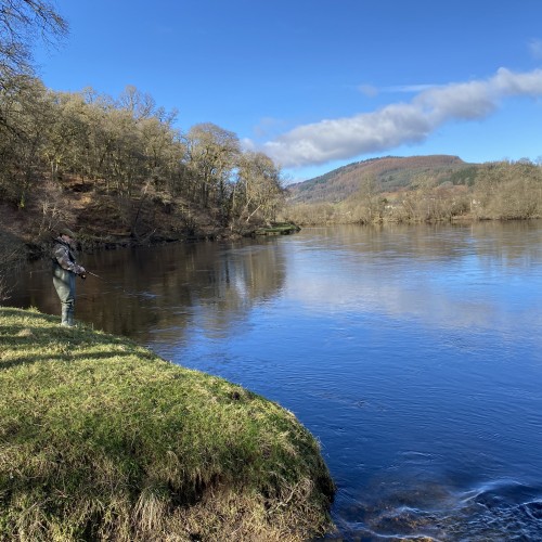 Here's my son Johnny spinning the neck of the Rock Pool on Kinnaird with his 10ft spinning rod. The use of a spinning rod is allowed on some of the Scottish rivers such as the River Tay in Perthshire. This lovely upstream shot was taken on the Tay near Logierait which is a salmon fishing hot spot that's close to the River Tay & River Tummel confluence.