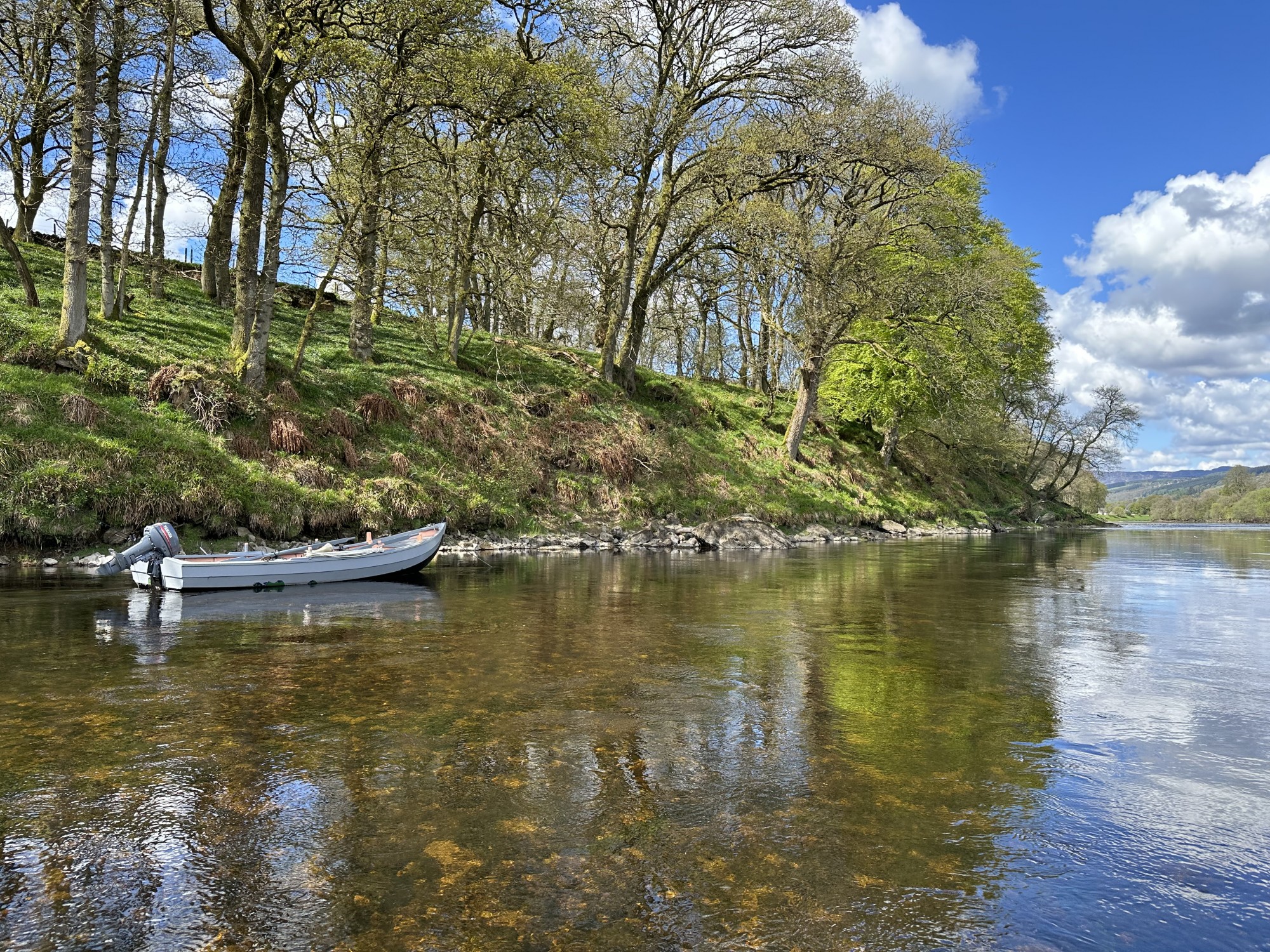 Here's a perfectly coloured traditional River Tay cobble salmon boat blending in with the riverbank stones slightly upstream of the River Tummel/Tay confluence. This is the tail of the Rock Pool which lies between the Perthshire towns of Pitlochry & Dunkeld. The riverbank trees in the shot are primarily oak trees.