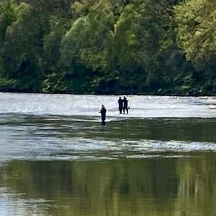 This zoomed in shot was taken by me from the Rock Pool on Upper Kinnaird looking downstream to a party of 2 fishers accompanied by their professional salmon guide the moment a perfect 12lbs Spring salmon was landed which is barely visible in the landing net in this shot. The River Tay is a great Scottish salmon river even in low bright water conditions and this guest went on to land another salmon of similar size moments after this fine river shot was captured.