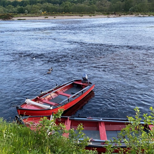 Here's 2 of the salmon boats on the Kinnaird Beat of the River Tay near Dunkeld. The traditional larch built Tay boats are a work of art and great to fish for salmon from. These 2 boats I photographed at the neck of the Ash Tree Pool clearly visible in the background.