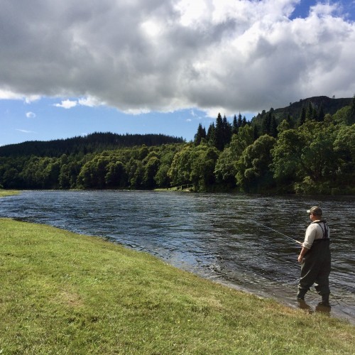 This was one of my fishing guests fishing the River Tay in June after being taught to Speycast with this 15ft double handed salmon fly rod. The Tay is Scotland's biggest salmon river which is popular for salmon fishing trips. Look at the lovely riverbank and wooded Perthshire hillside on the far bank. 