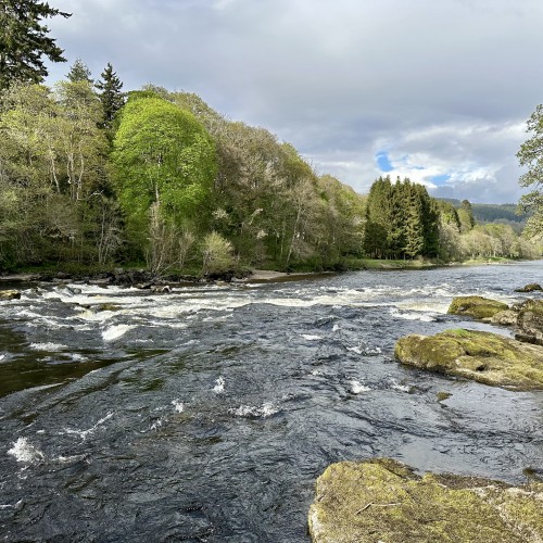This is the lovely salmon pool directly downstream of the Grandtully Bridge on the River Tay in Perthshire. Many salmon are caught immediately above the white water each year by visiting salmon fishing guests. I took this shot during early June during low Summer water conditions.