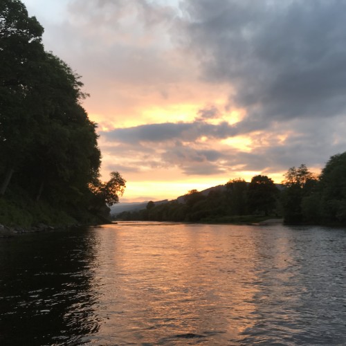 The riverbank light shows on the Tay in Scotland are amazing as you see here with this fine shot which I took at dusk on an overcast day. Whatever the weather the Scottish salmon rivers are beautiful arenas to pursue wild Atlantic salmon. These trees to the left of frame are all oak trees.