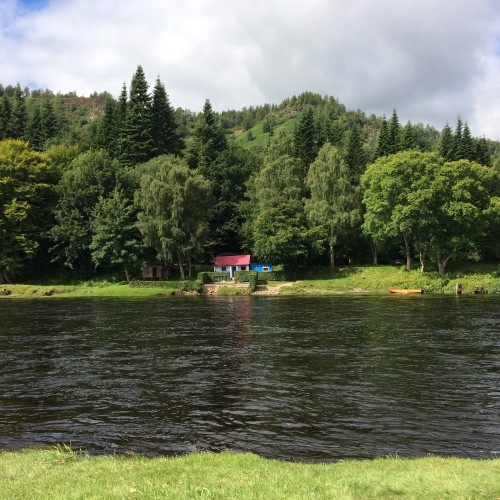 I took this shot of one of the most famous River Tay salmon fishing huts which dates back to 1970 when Willie Laird the ghillie and a few colleagues sited this local Victorian golf course hut on the banks of the Tay as the fishing hut for the Newtyle Beat. Look at the lovely woodland to the rear of the hut and the perfect grass bank in the foreground for salmon anglers and salmon guides to fish from.