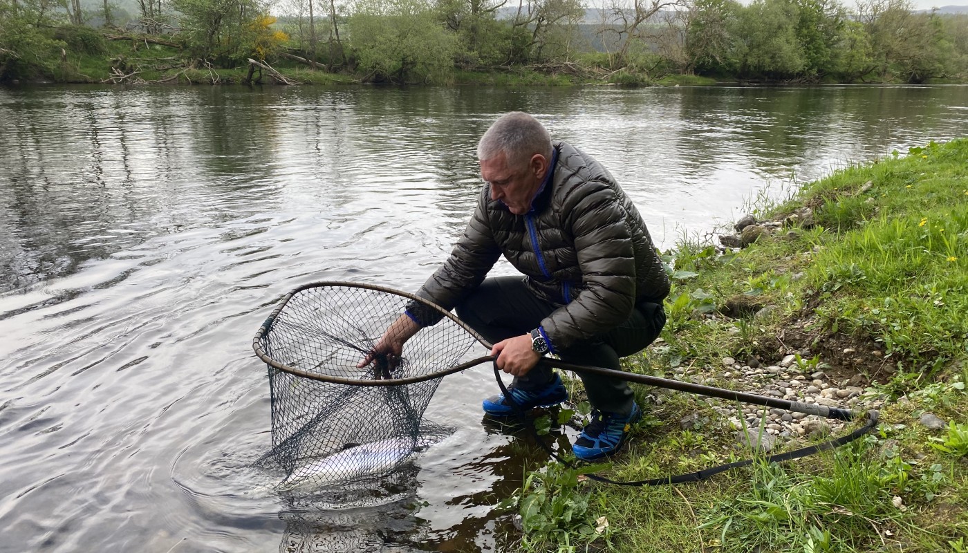 Here's myself with a fine Spring salmon in the landing net immediately prior to its release. A good landing net with fish friendly mesh is an essential piece of salmon fishing equipment. I caught this fine salmon at the Daffodil Lie Pool on the beautiful Kinnaird Beat of the River Tay in Highland Perthshire.