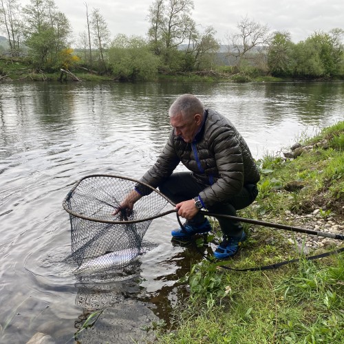 Here's myself with a fine Spring salmon in the landing net immediately prior to its release. A good landing net with fish friendly mesh is an essential piece of salmon fishing equipment. I caught this fine salmon at the Daffodil Lie Pool on the beautiful Kinnaird Beat of the River Tay in Highland Perthshire.